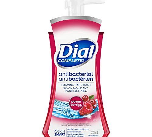 Dial Antibacterial Foaming Hand Wash, Antioxidant Power Berries, 221mL