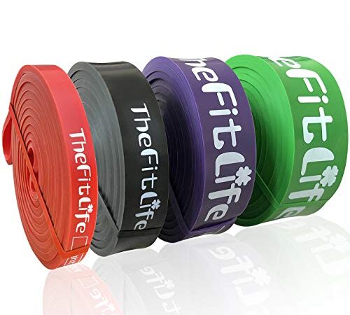 TheFitLife Resistance Pull Up Bands - Pull-Up Assist Exercise Bands, Long Workout Loop Bands for Body Stretching, Powerlifting, Fitness Training, with Carrying Bag and Workout Guide