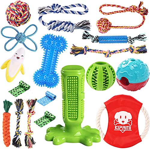 Best dog toys in 2022 [Based on 50 expert reviews]