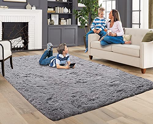 ACTCUT Super Soft Indoor Modern Shag Area Rugs Fluffy Beding Room Shaggy Carpets Dining Living Room Nursery Rug 2.5' x 5.3', Grey