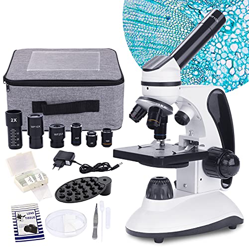 Best microscope in 2022 [Based on 50 expert reviews]