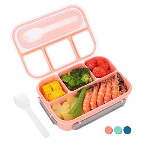 Best bento box in 2022 [Based on 50 expert reviews]