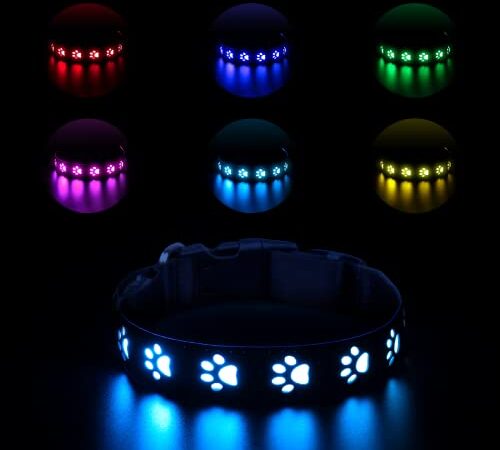 Newest LED Dog Collar, Rechargeable Light Up Collars, 7 Modes, Waterproof Dog Lights Make Pet Visible for Night Walking, Glowing Doggy Necklace for Small Medium Large Dogs, 15.7- 19.7IN,M Size