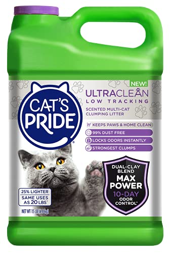 Best cat litter in 2022 [Based on 50 expert reviews]