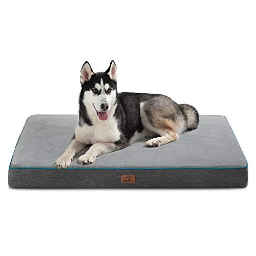 Best dog bed in 2024 [Based on 50 expert reviews]