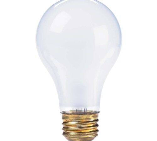 Globe Electric 93954 100W A19 Incandescent Light Bulb, 6-Pack, E26 Base, 1210 Lumens