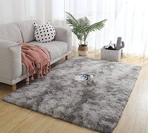 5X8 Light Grey Shag Area Rugs for Living Room Bedroom Rug Modern Ultra Soft Fuzzy Throw Carpets for Kids Girls Boys Pets Room Fluffy Rugs (5X8 Feet, Light Grey)