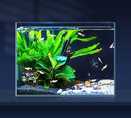 LAQUAL 3 Gallon Ultra Clear Glass Fish Tank, Rimless Low Iron Aquarium for Betta/Nano/Goldfish/Snail/Shrimp, Small Fish Tank with Fish Net & Cleaning Tools