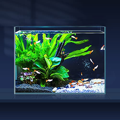 Best fish tank in 2024 [Based on 50 expert reviews]