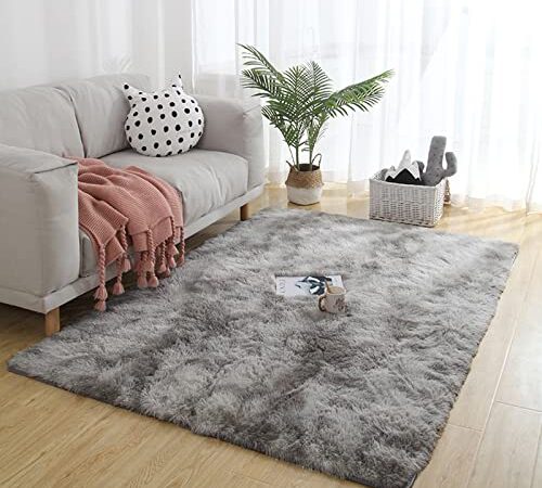 Shag Area Rugs for Living Room Bedroom Rug Modern Ultra Soft Fuzzy Throw Carpets for Kids Girls Boys Pets Room Fluffy Rugs (2X3 Feet, Light Grey)