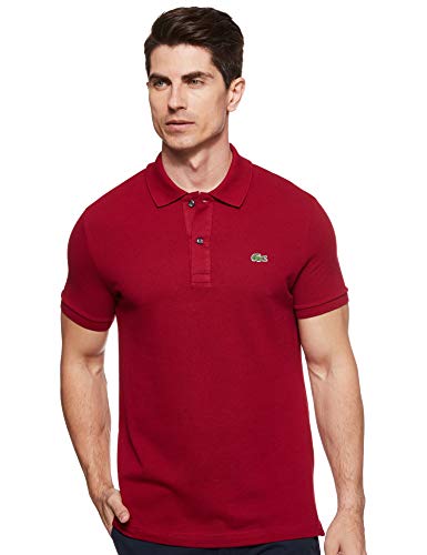 Best lacoste in 2024 [Based on 50 expert reviews]