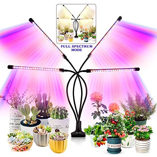 Best grow light in 2024 [Based on 50 expert reviews]