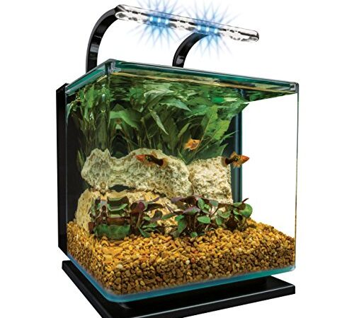 Marineland Contour 3 aquarium Kit 3 Gallons, Rounded Glass Corners, Includes LED Lighting