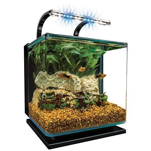 Best aquarium in 2024 [Based on 50 expert reviews]