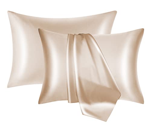 NOLRDR Mulberry Silk Pillowcase 2 Pack for Hair and Skin with Hidden Zipper,Both Sides 19 Momme Smooth and Breathable Silk Pillow Cases Set of 2 (Beige, Standard 20''×26'')