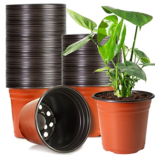 Best plant pot in 2024 [Based on 50 expert reviews]