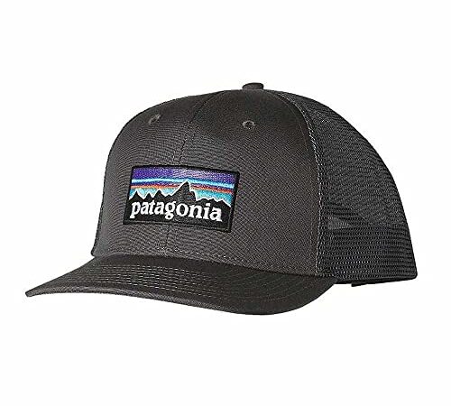 Patagonia P-6 Logo Trucker Hat, Forge Grey, One Size