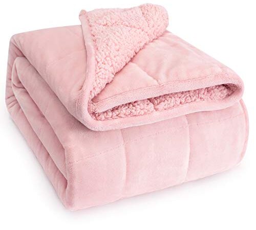 Wemore Sherpa Fleece Weighted Blanket for Adult, 15 lbs Dual Side Cozy Fluffy Heavy Blanket, Ultra Fuzzy Throw Blanket with Soft Plush Flannel Top, 60 x 80 inches for Queen Size Bed, Pink on Both Side