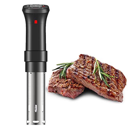 Best sous vide in 2024 [Based on 50 expert reviews]