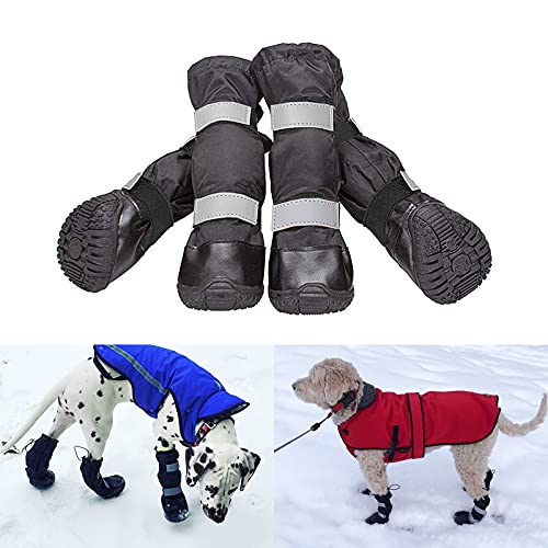 Best dog boots in 2024 [Based on 50 expert reviews]