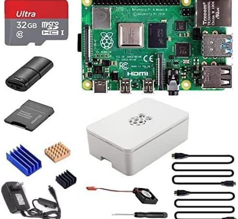 Raspberry Pi 4 Model B 2GB Kit Base Starter Kit with SD Card, Heatsinks, Case, Cooling Fan, HDMI Cable, Power Supply, Reading Card Device, Screwdriver (2GB)